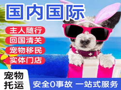 右旗巴丹吉林空运地址国际宠物托运 【国